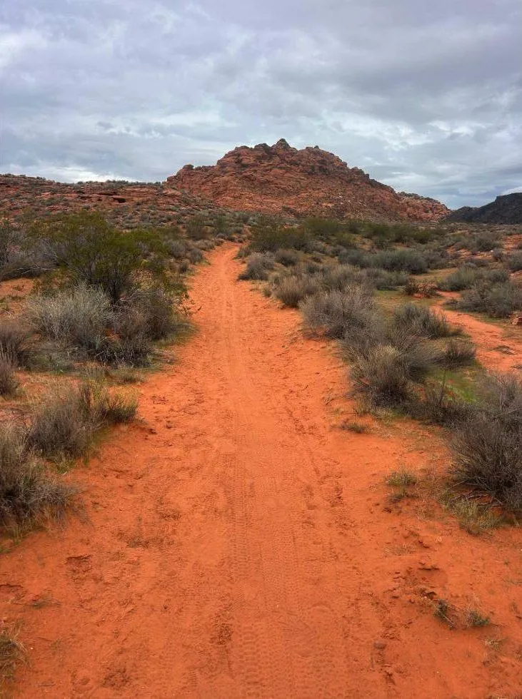 Chuckwalla Loop trail